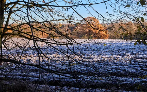 This landscape photograph captures a frozen field covered in frost on a clear winter morning at Tapton Park in the United Kingdom. The scene is framed by bare tree branches in the foreground, highlighting the seasonal change as autumn transitions into winter. In the distance, trees with lingering autumn foliage can be seen, providing a contrast to the icy texture of the field. The image showcases the natural beauty of the park, emphasizing the interplay between nature and seasonal elements in a winter setting.